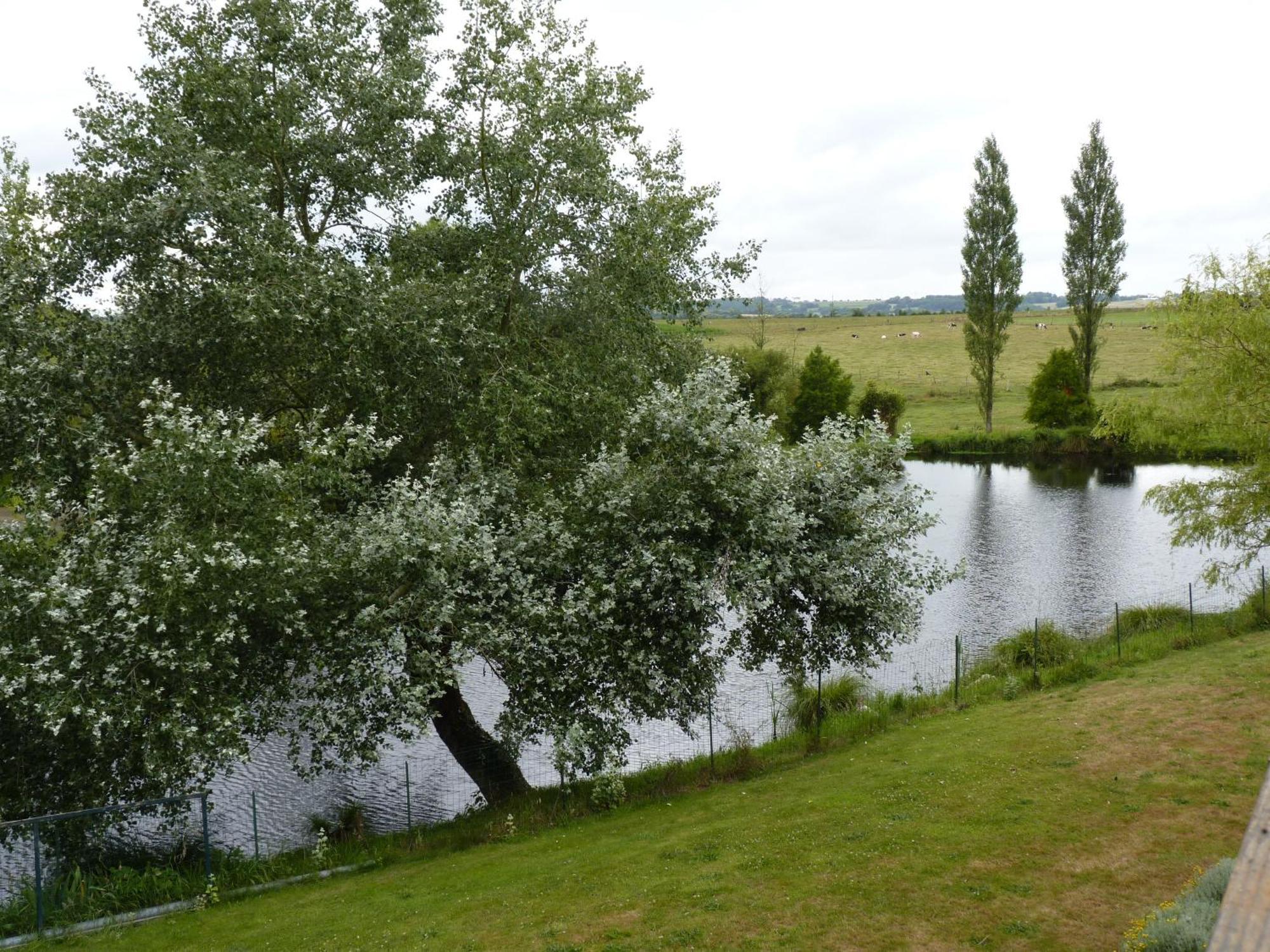 Gites De La Haie Plouégat-Moysan Esterno foto