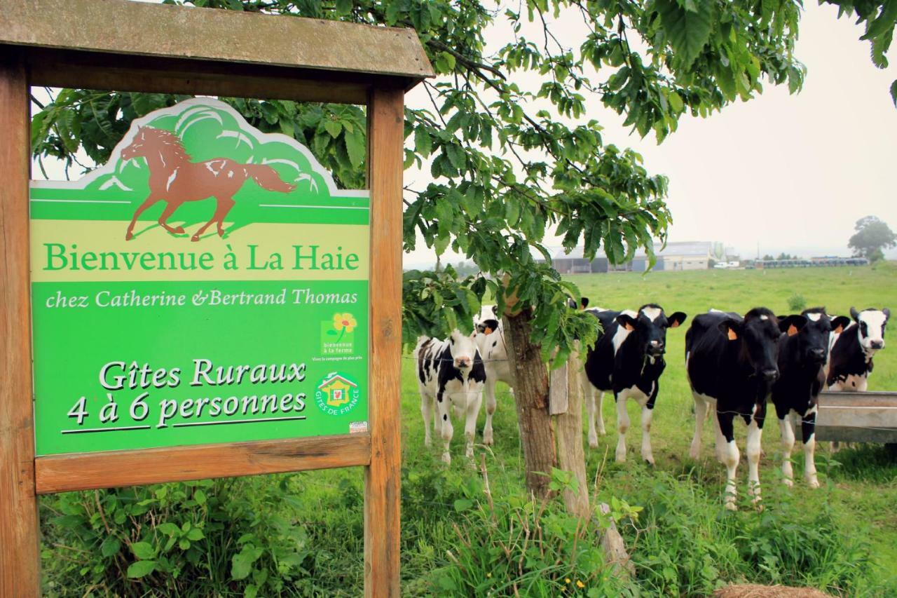 Gites De La Haie Plouégat-Moysan Esterno foto